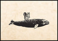Vintage Poster Squirrels on Wal