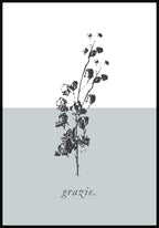 Vintage Poster Blümchen Grazie